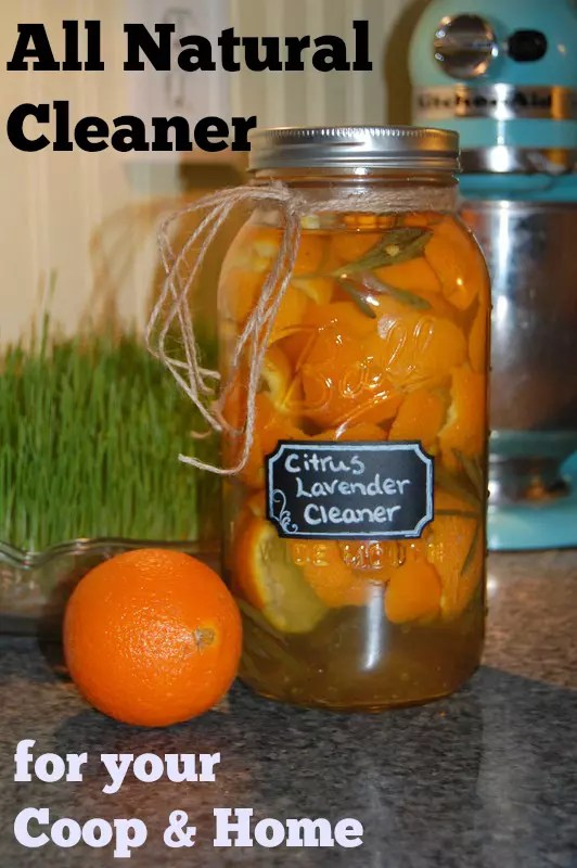 Homemade Chicken Coop Cleaner