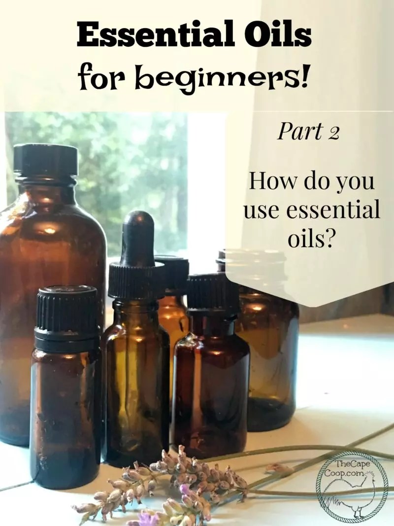 Essential Oils for Beginners II How to use Essential Oils The Cape Coop