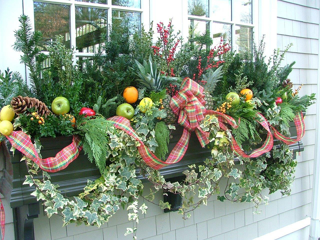 Seasonal Designs The Captured GardenThe Captured Garden