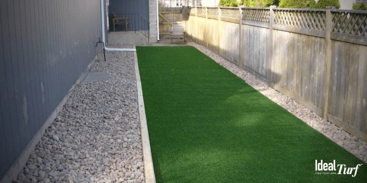 Backyard Ideas for Dogs that Dig The Cards We Drew