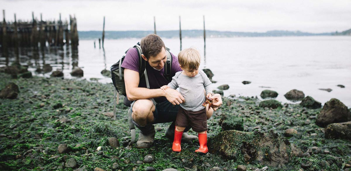 Olive Crest The Care Map