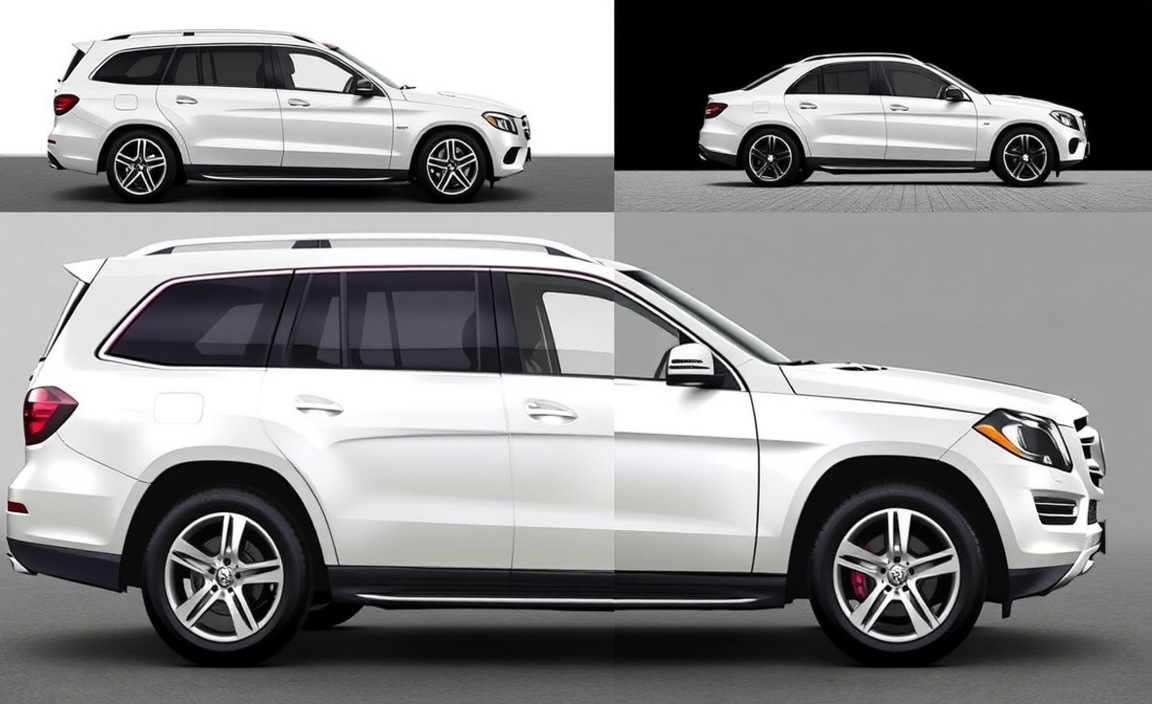 Model Variations And Trim Levels