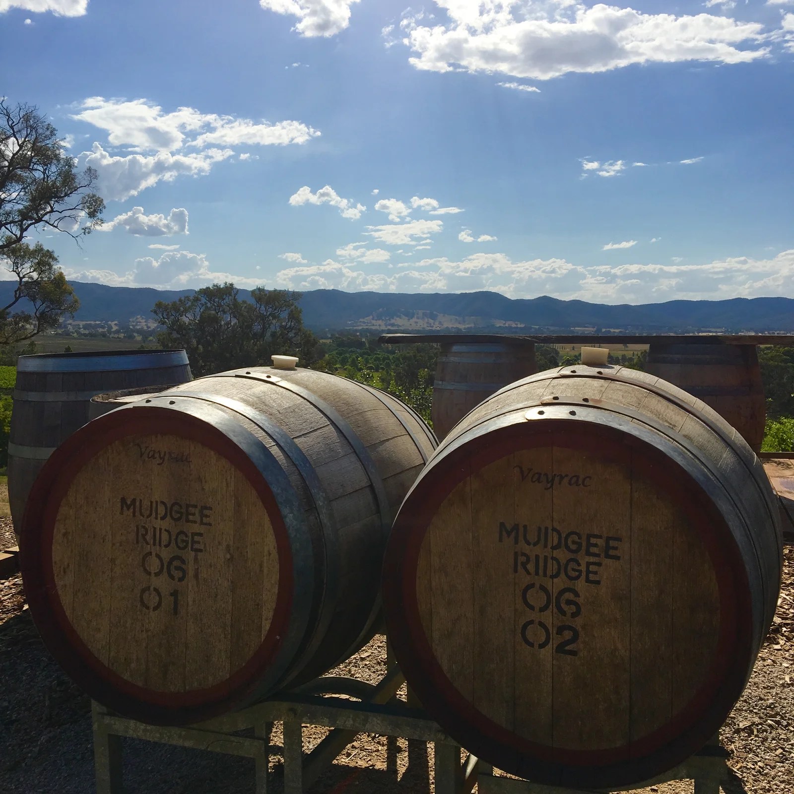 Mudgee The Ultimate Guide To Where To Stay, Visit And Eat