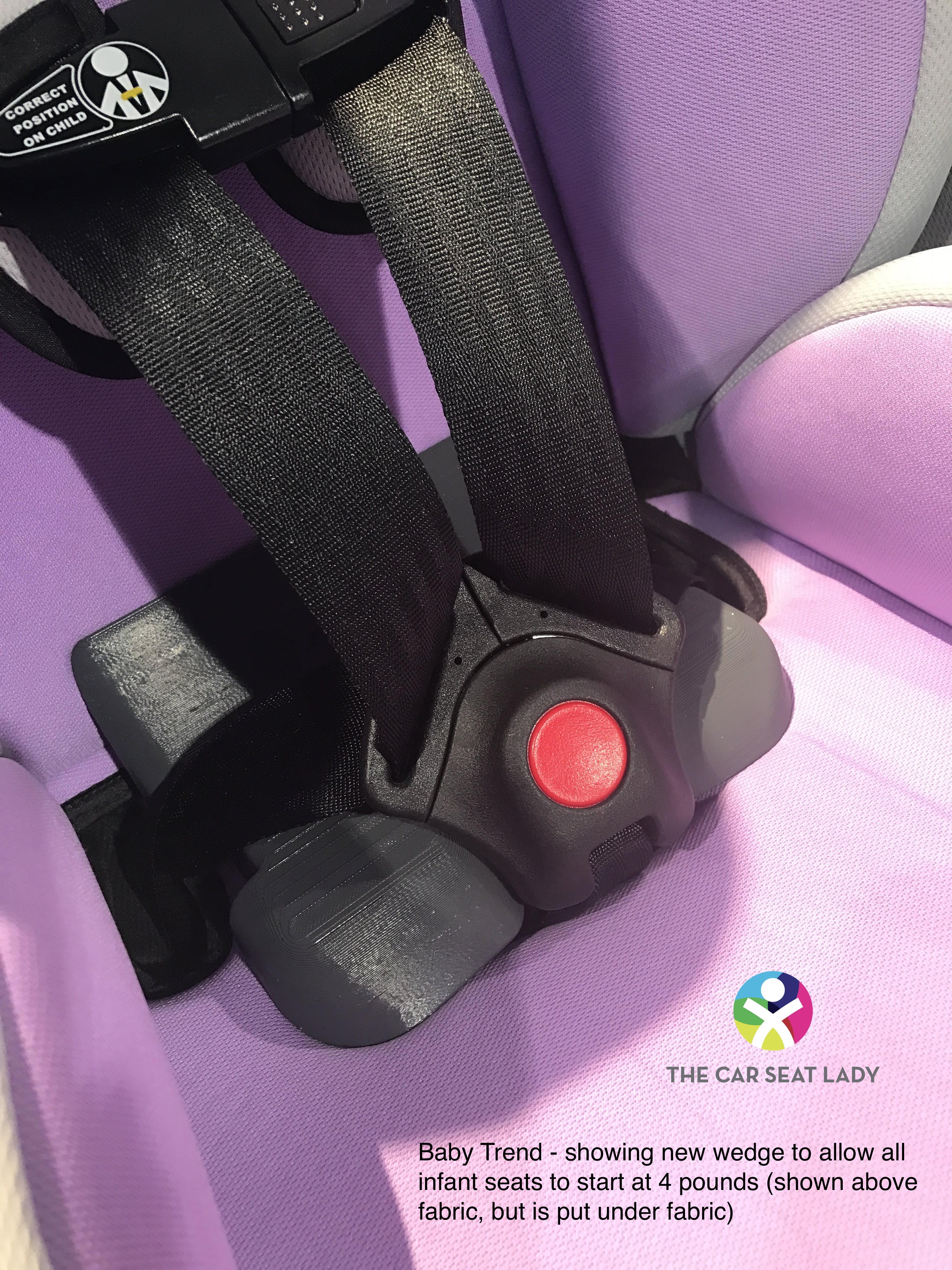 The Car Seat LadyABC 2016 The Car Seat Lady