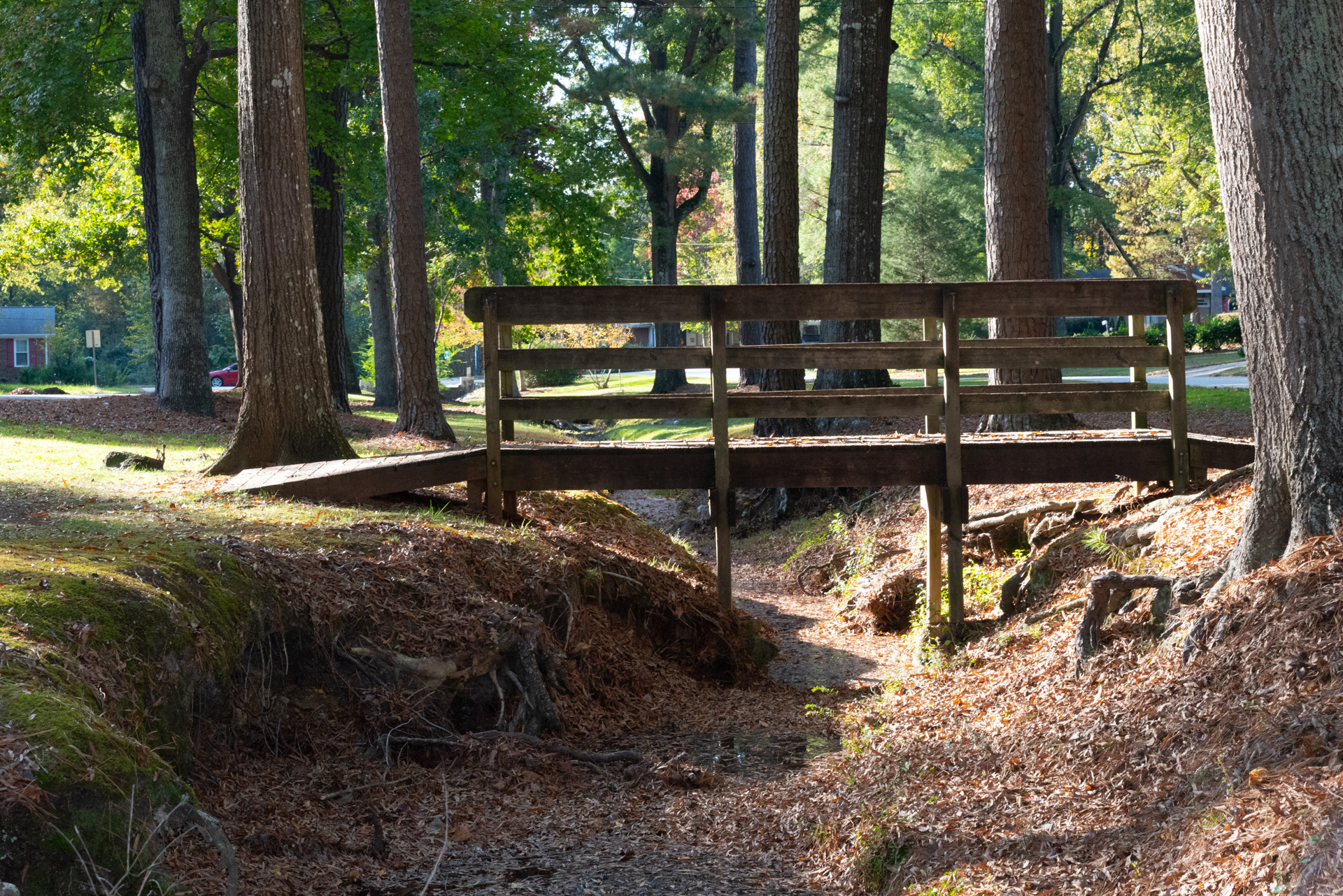 Park Feature Dorothy Park The Cary Report