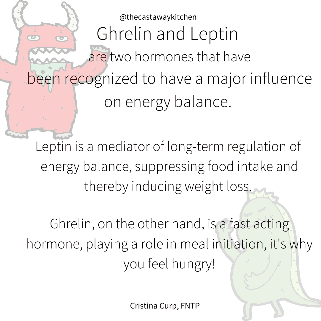 Hunger Hormones Ghrelin and Leptin LaptrinhX / News