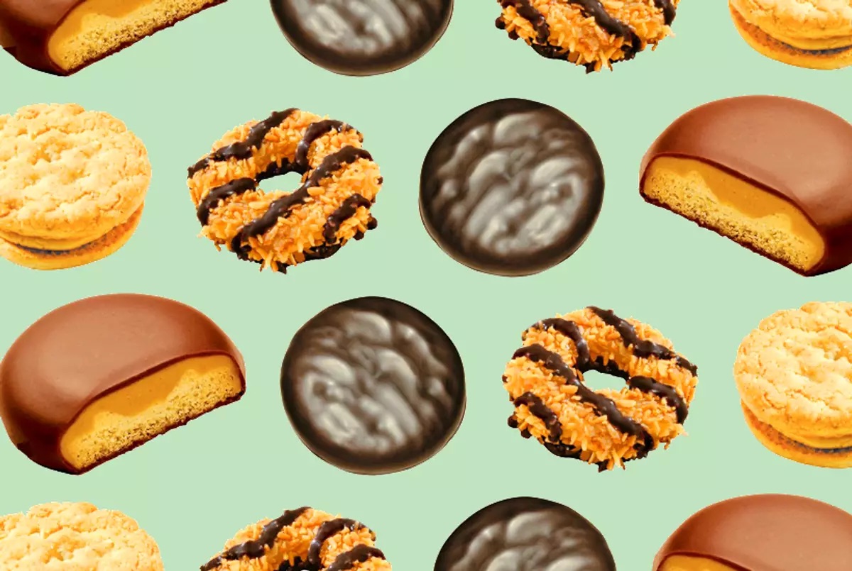 Scouting Out the Best Cookie The Catamount