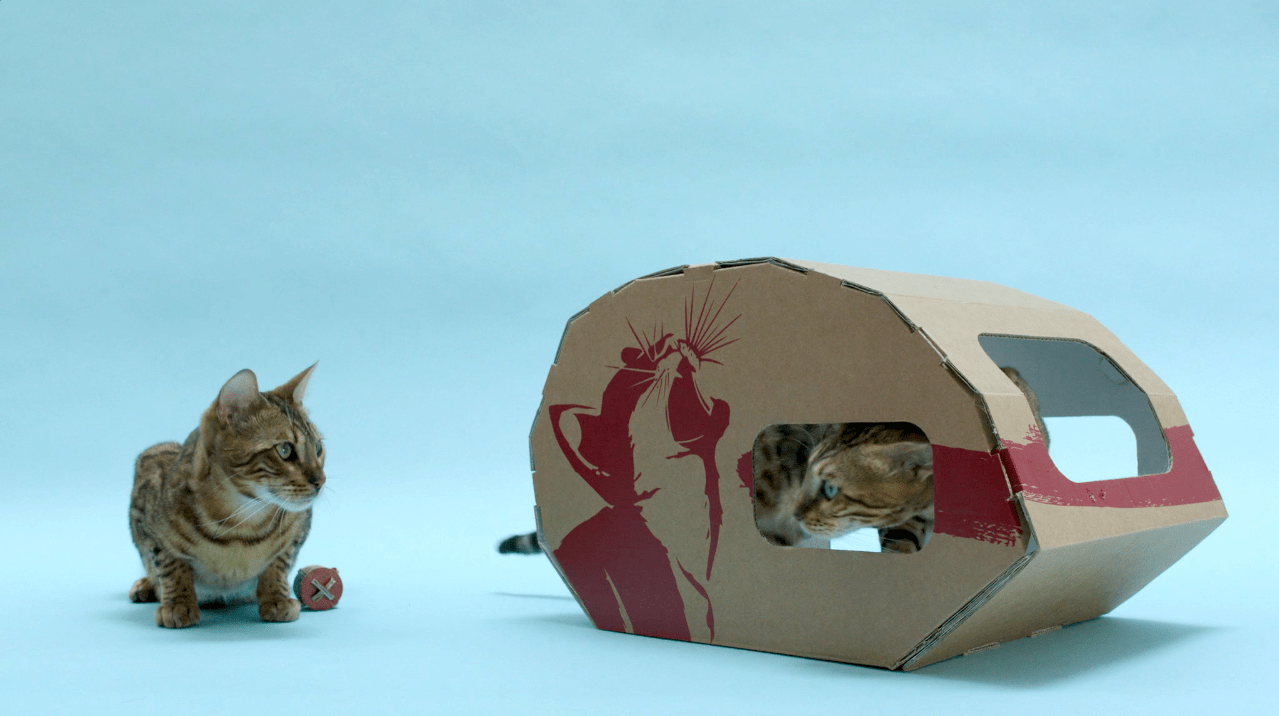 Cat_Caravan_stills_7 to the Cat Caravan the cardboard cat