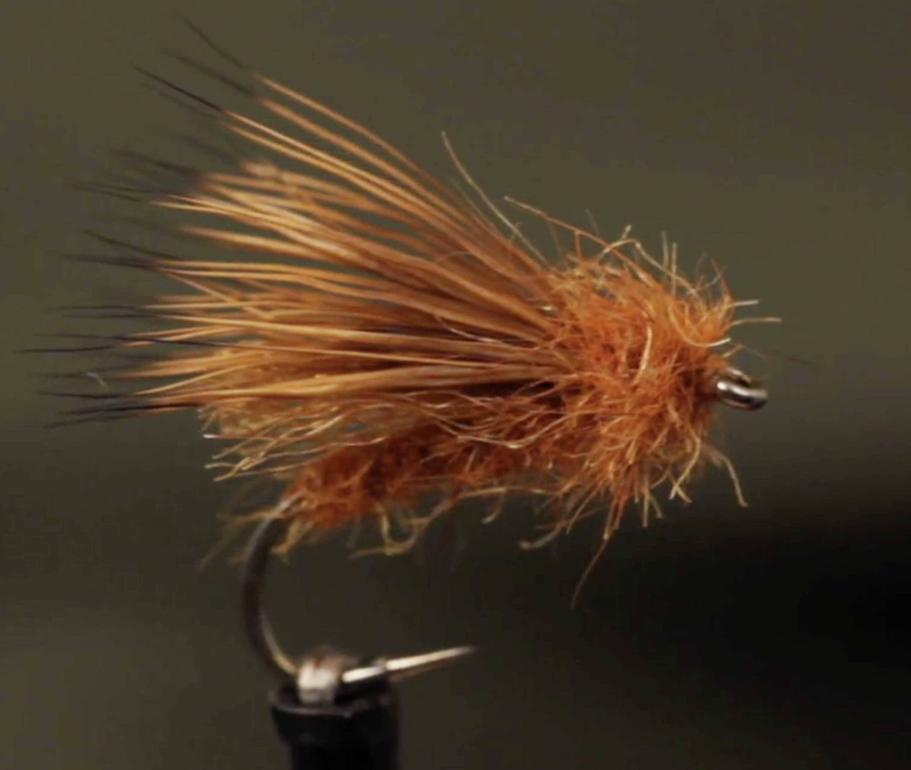 Fall Fly Fishing and Bug Guide The Catch and The Hatch