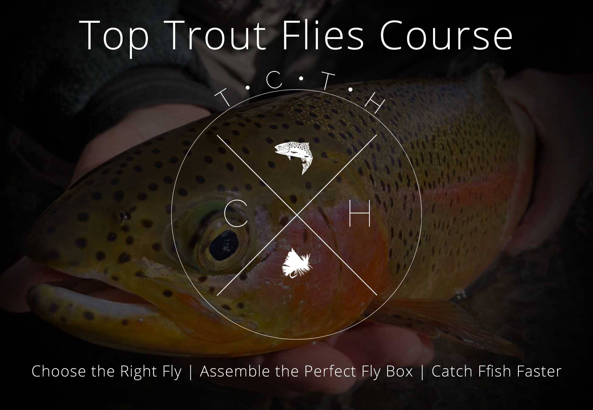 Top Trout Flies Course The Catch and The Hatch