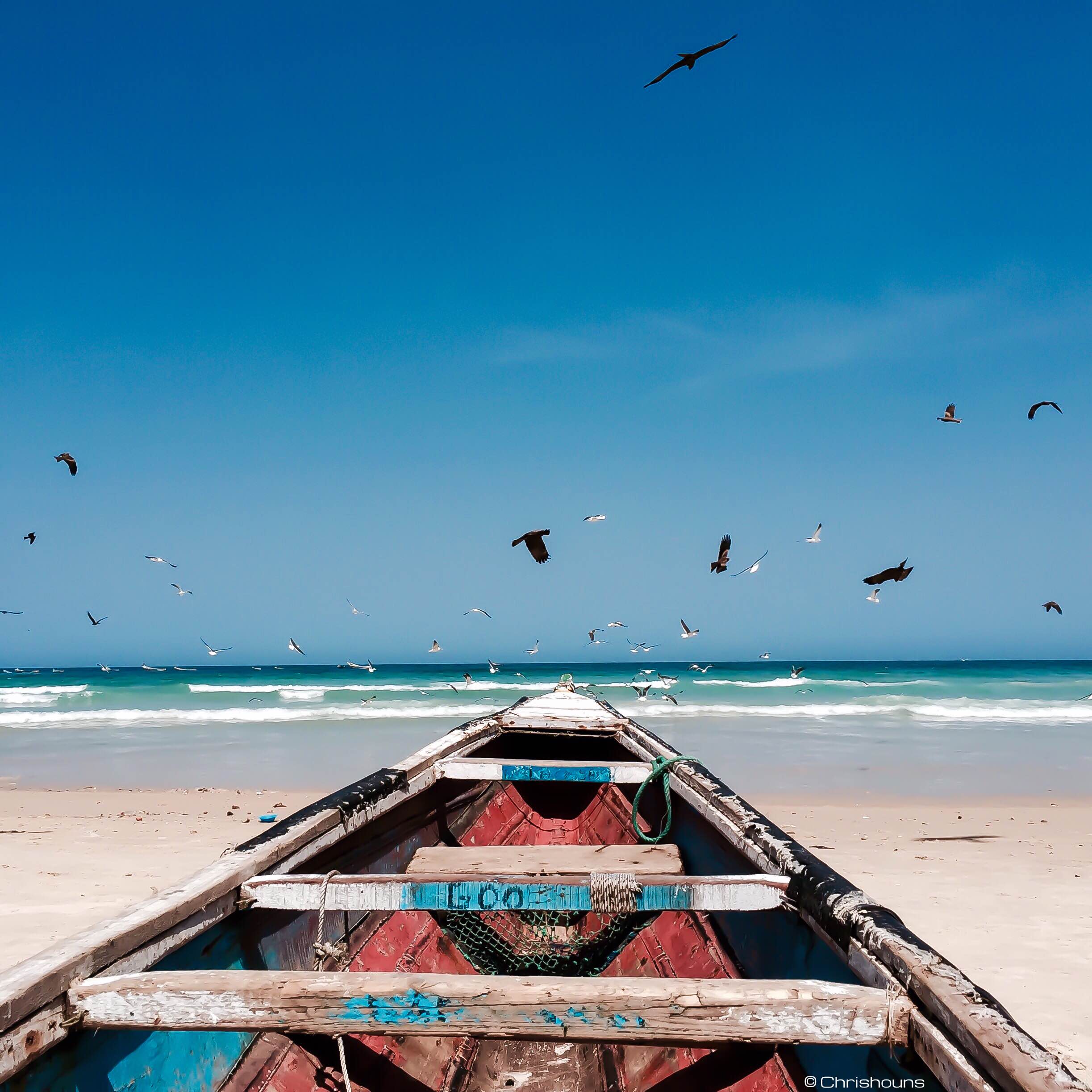 Five Things to Do in Dakar, Senegal The Catch Me If You Can