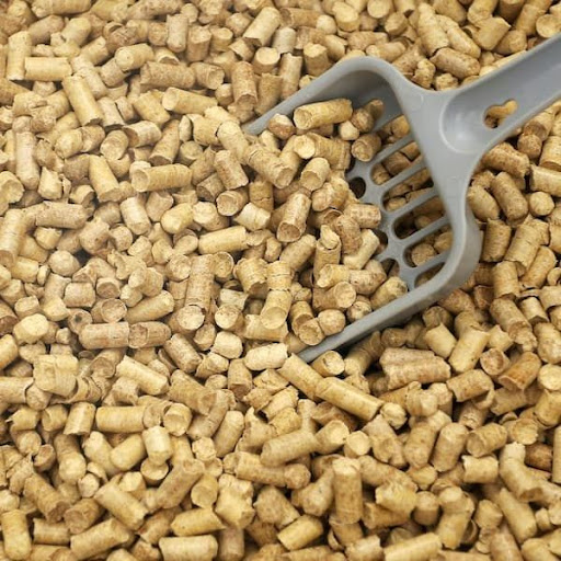 Clumping vs NonClumping Cat Litter Pros and Cons