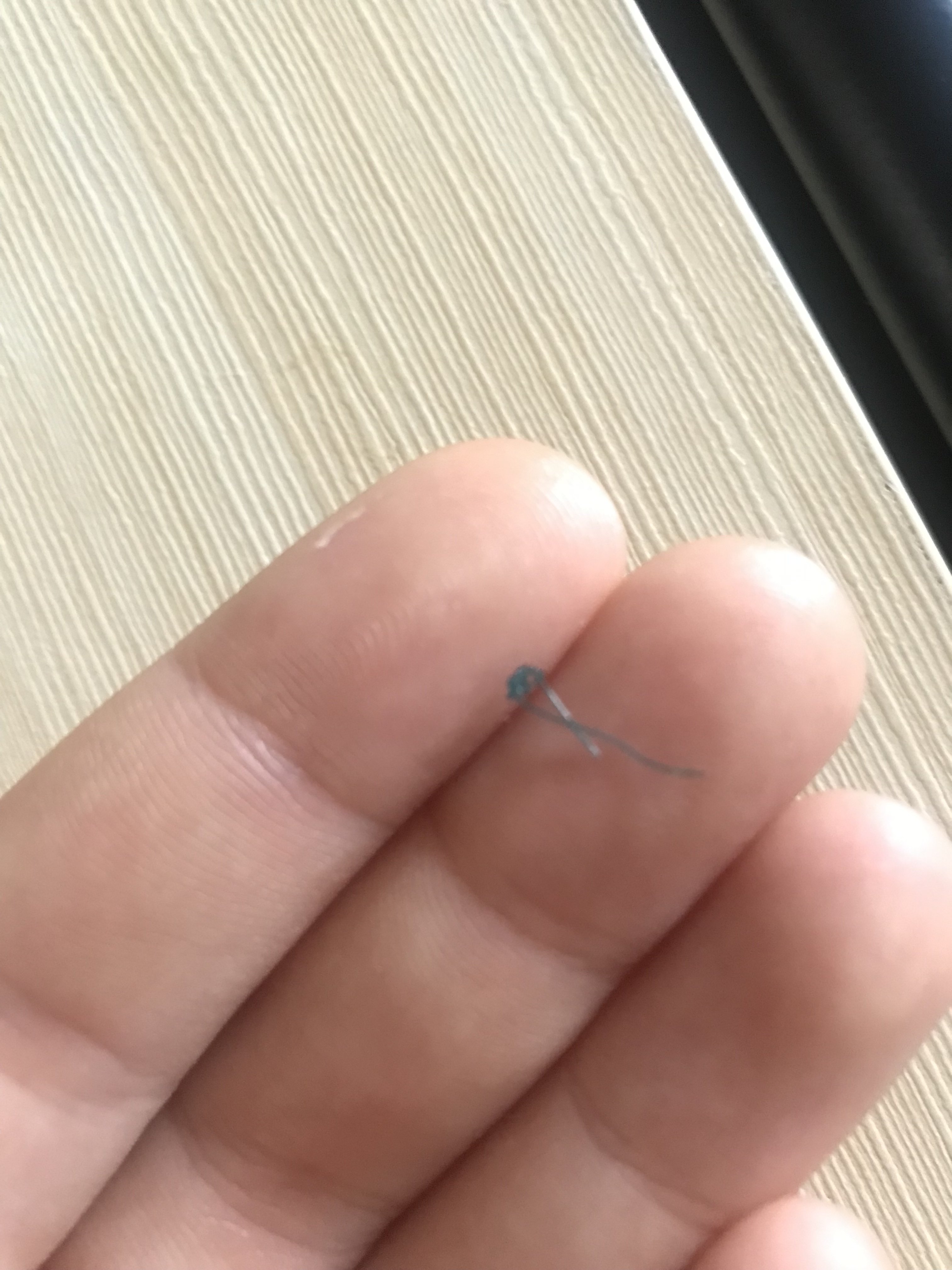 Dissolvable Sutures... That Haven’t Dissolved TheCatSite