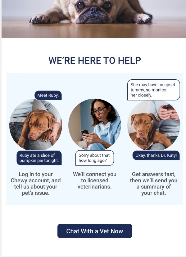 Vet chat from Chewy TheCatSite
