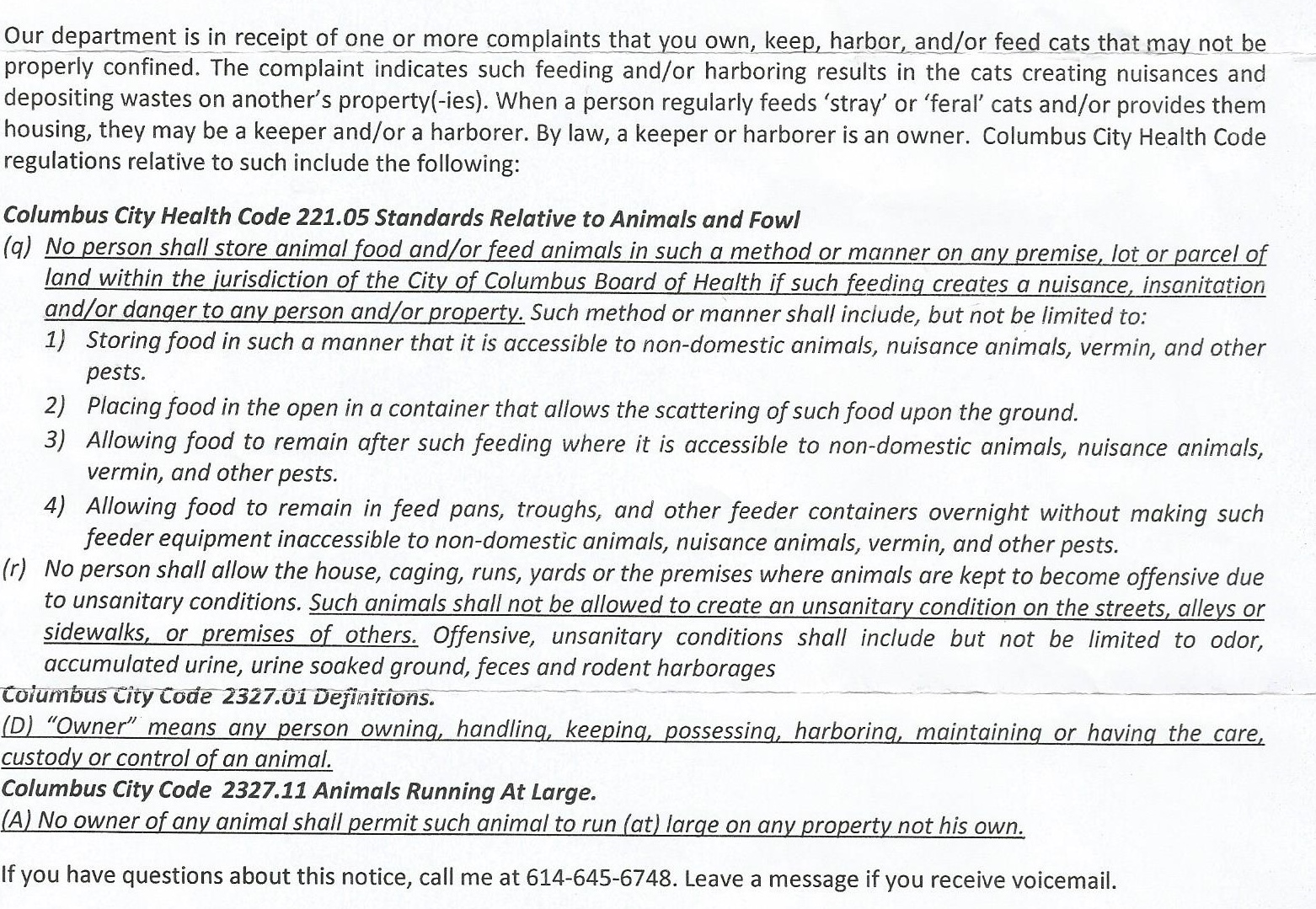 Have To Stop Feeding My Ferals TheCatSite