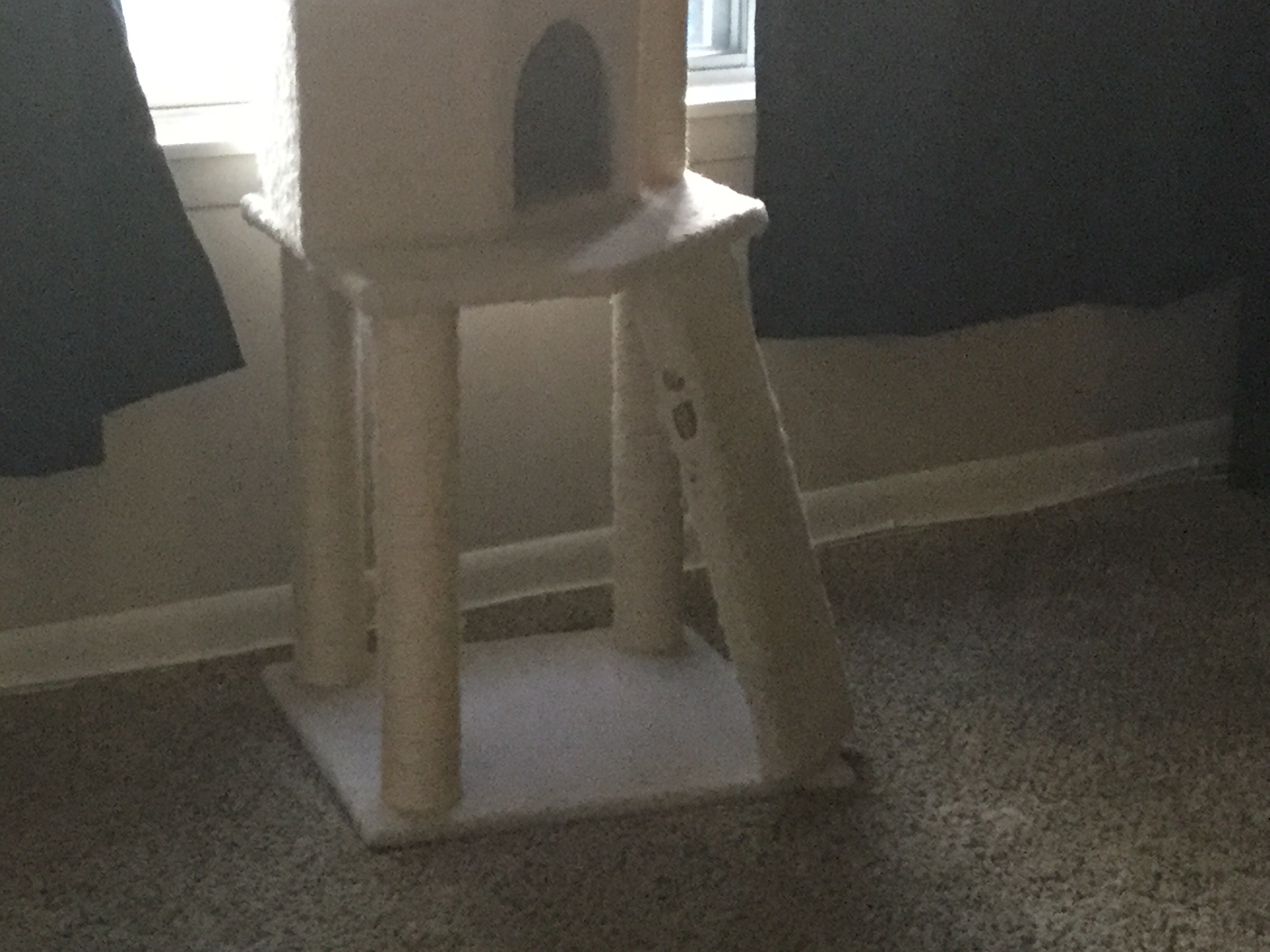 Cat Eating Carpet On Tree Condo TheCatSite