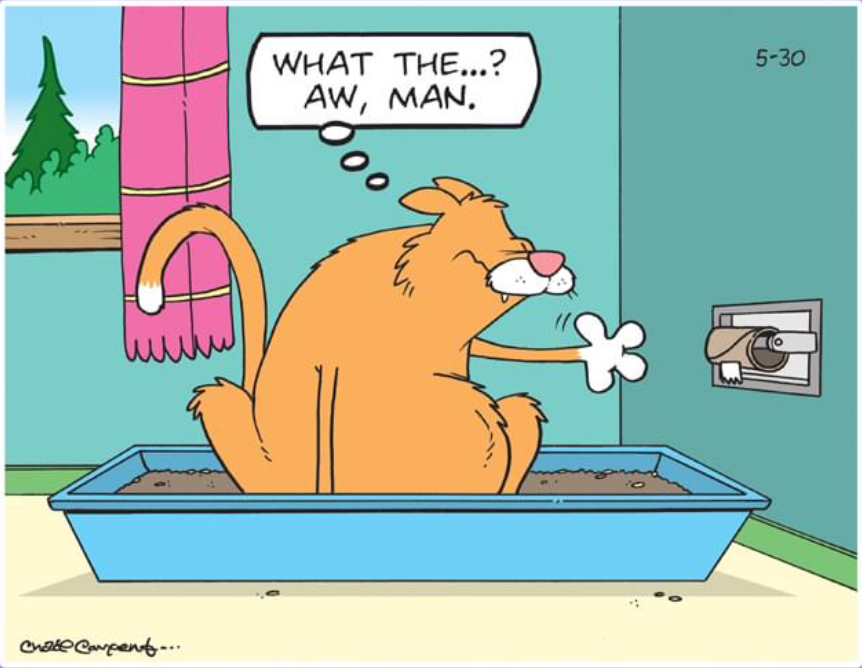 post funny cat picture and memes here Page 475 TheCatSite