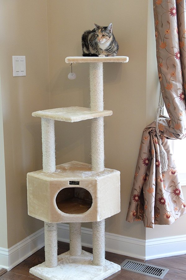 Here's why you need a cat tree (and how to choose one). Cat Trees 12