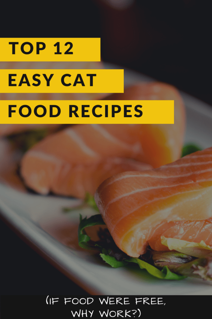 Top 12 Easy Cat Food Recipes , Check 3 Recipe The Cat Tribe