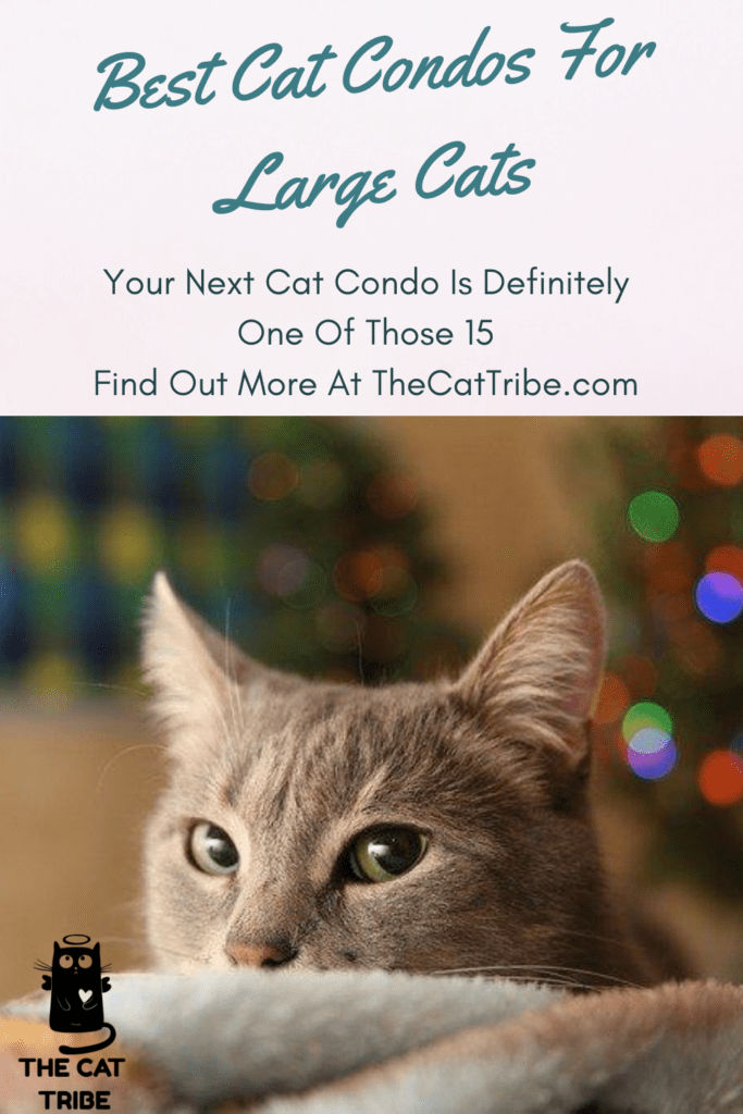 Best Cat Condos For Large Cats! Your Next Cat Condo Is Definitely One