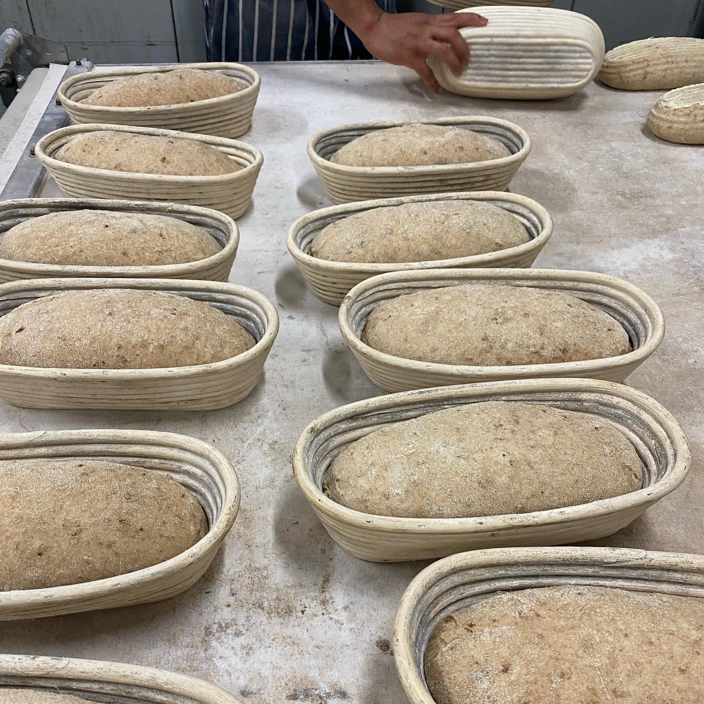 Cavan Bakery Love. Every. Crumb.