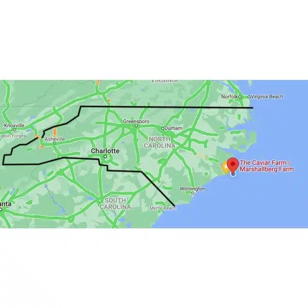 Marshallberg Farm Tours & Caviar Tastings