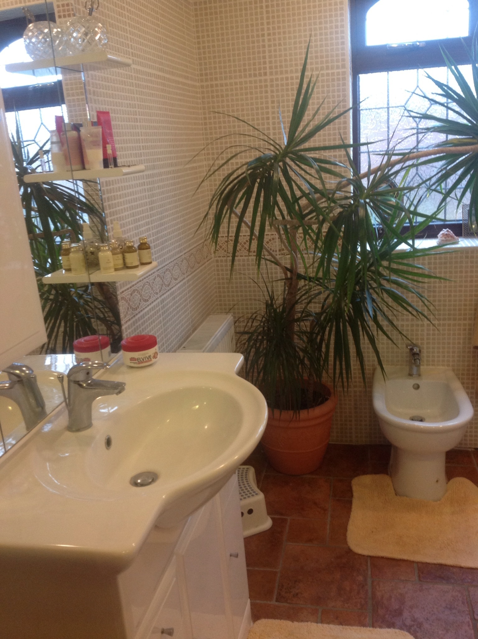 The Cedars House Bed & Breakfast Nuneaton