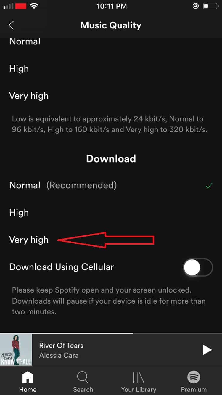 how to optimize iphone spotify app1 TheCellGuide