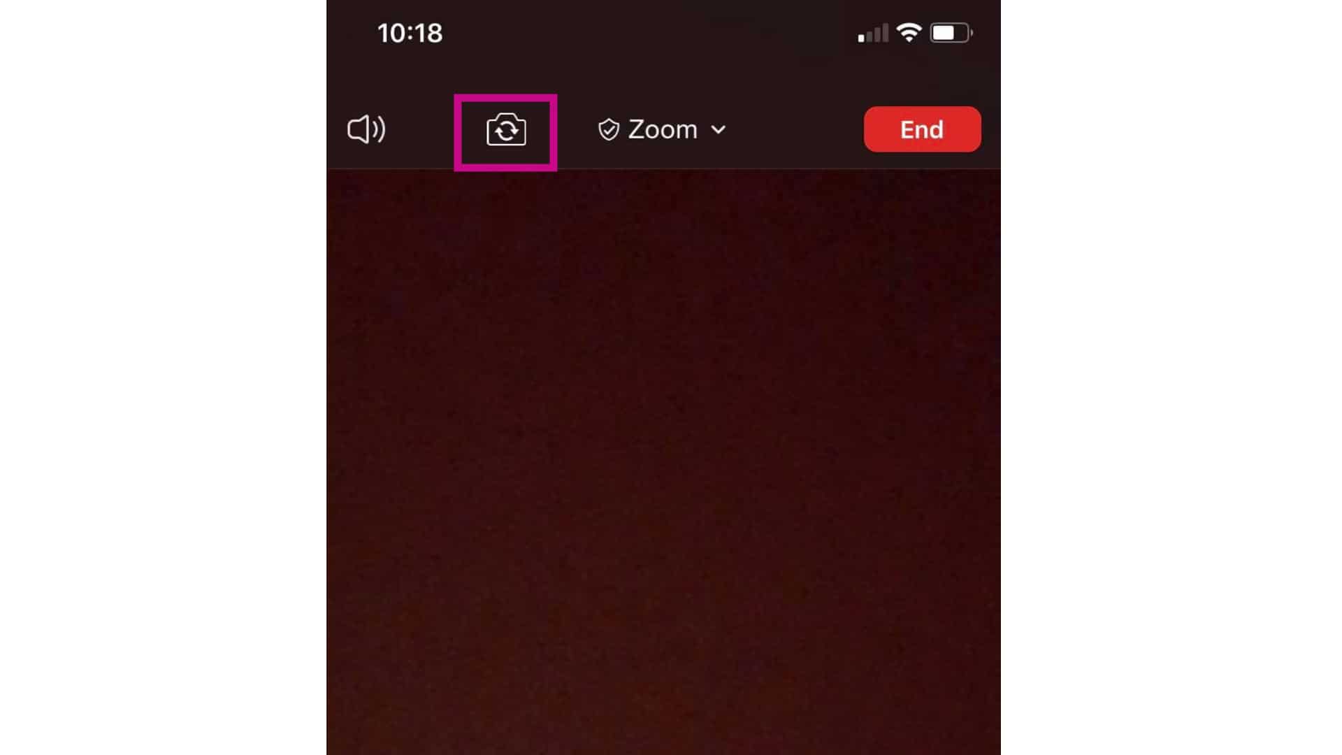 zoom change camera TheCellGuide