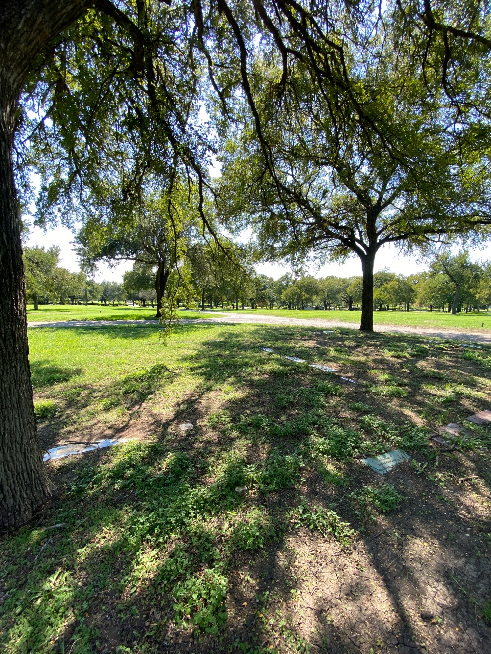 Dallas TX Buy Sell Plots Lots Graves Burial Spaces Crypts Niches