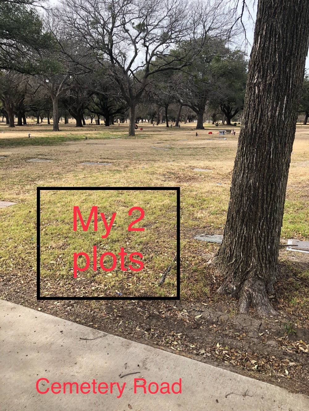 Dallas TX Buy Sell Plots Lots Graves Burial Spaces Crypts Niches