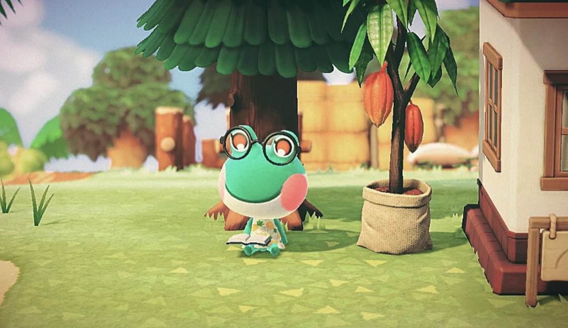 Animal Crossing New Horizons Lily Villager Guide