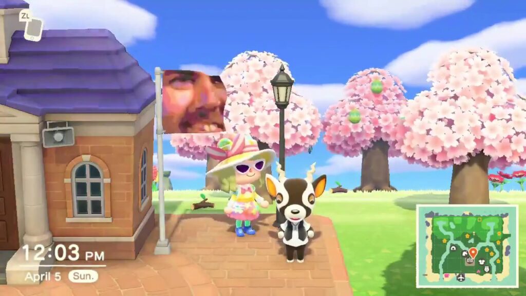 Animal Crossing New Horizons Zell Villager Guide