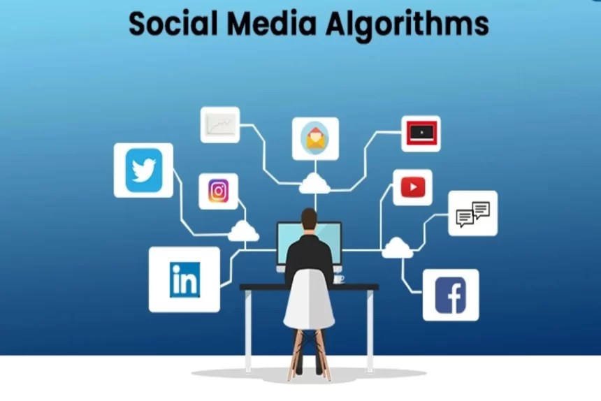 The Impact of Social Media Algorithms on Content Distribution