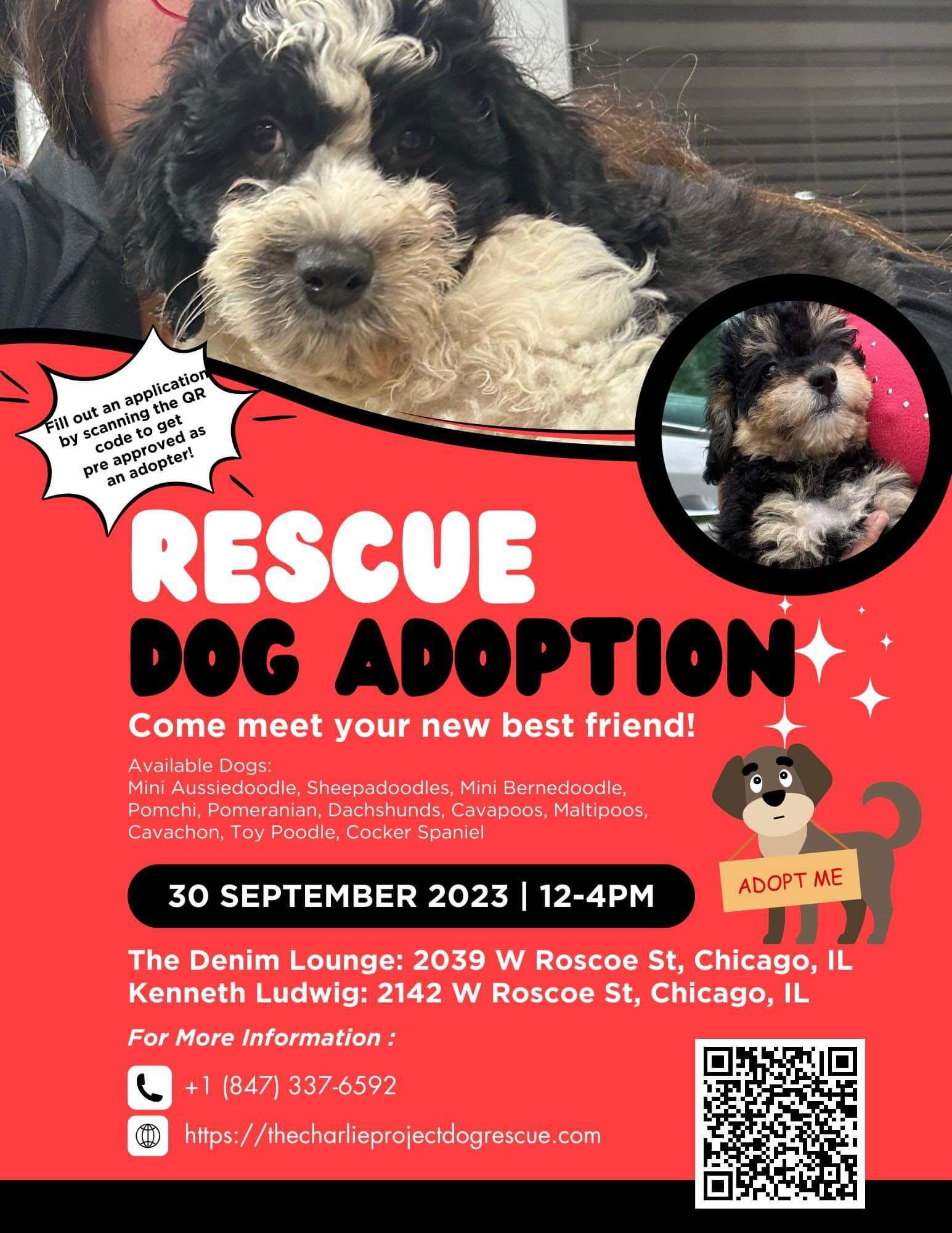 Events The Charlie Project Dog Rescue