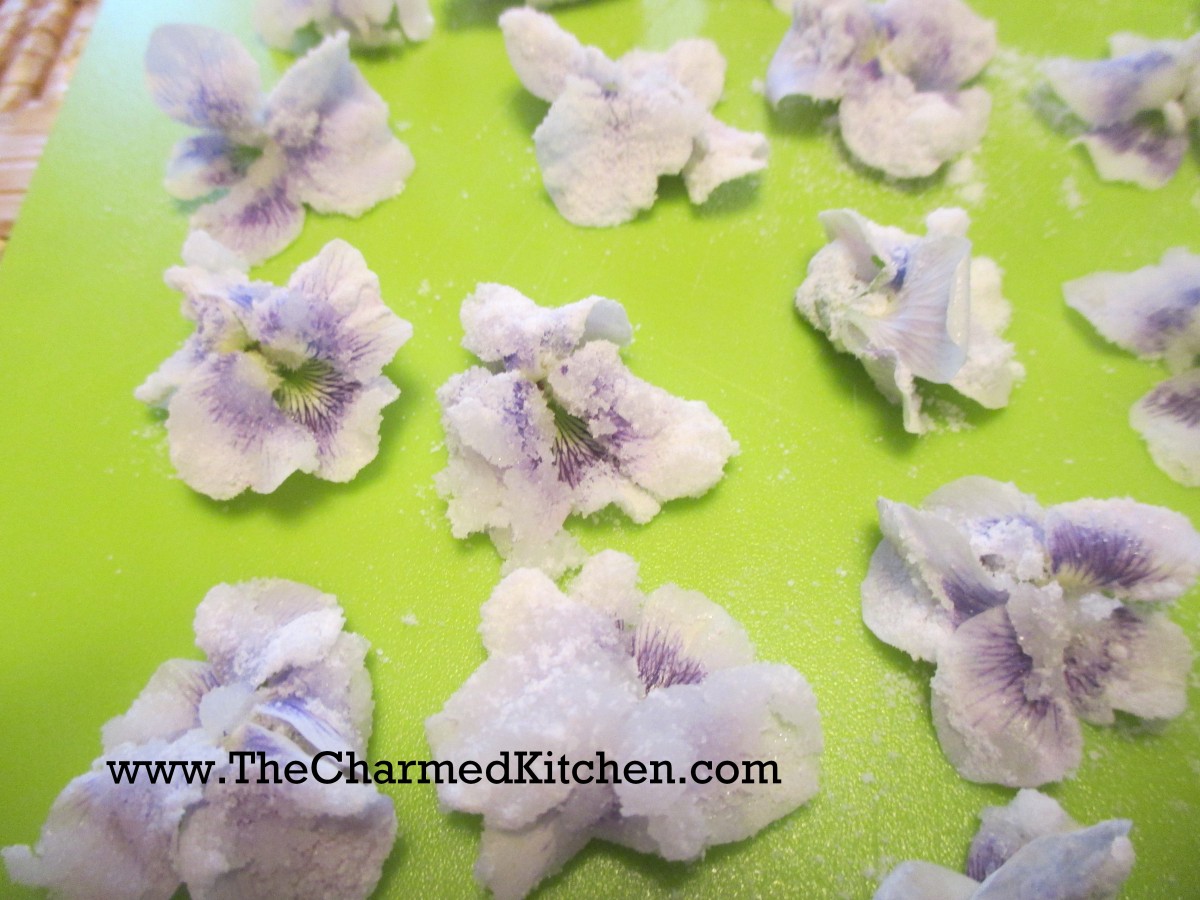 Candied Violets The Charmed Kitchen