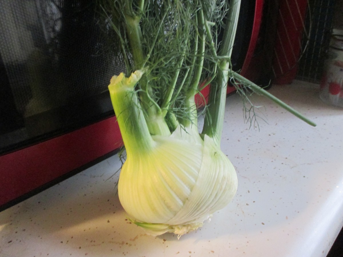 Waldorf Fennel Salad The Charmed Kitchen