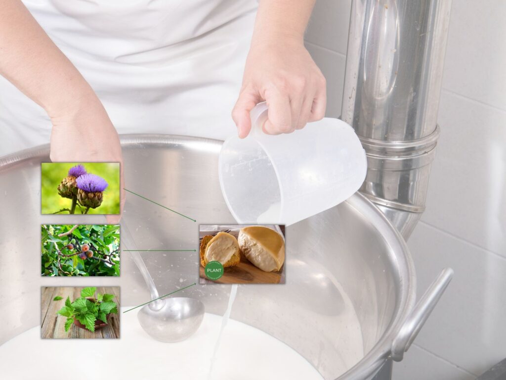 Top 138 + Animal meaning