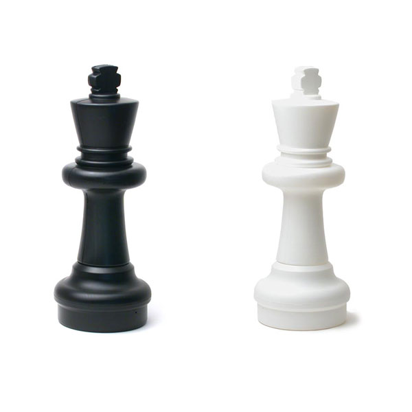 Total Chess King and Pawn vs. King Endgame TheChessWorld