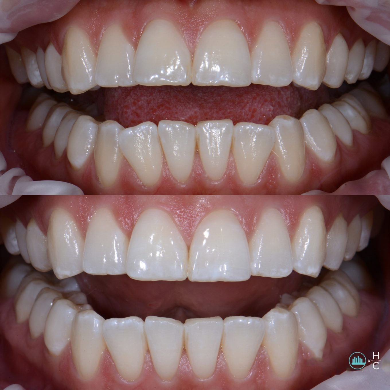 Fernanda F. The Chicago Dental Studio