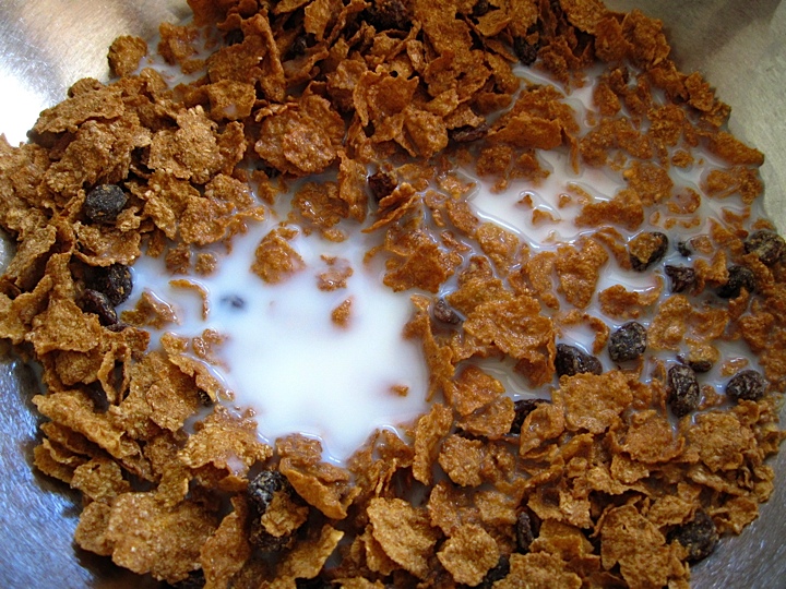 It’s a Raisin Bran Muffin Makeover! the chic brûlée