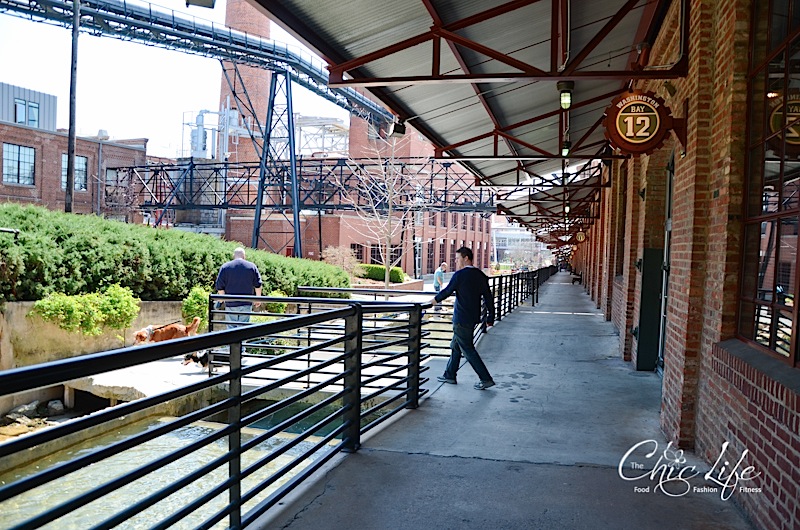 American Tobacco Historic District and Foster's Market {Durham, NC