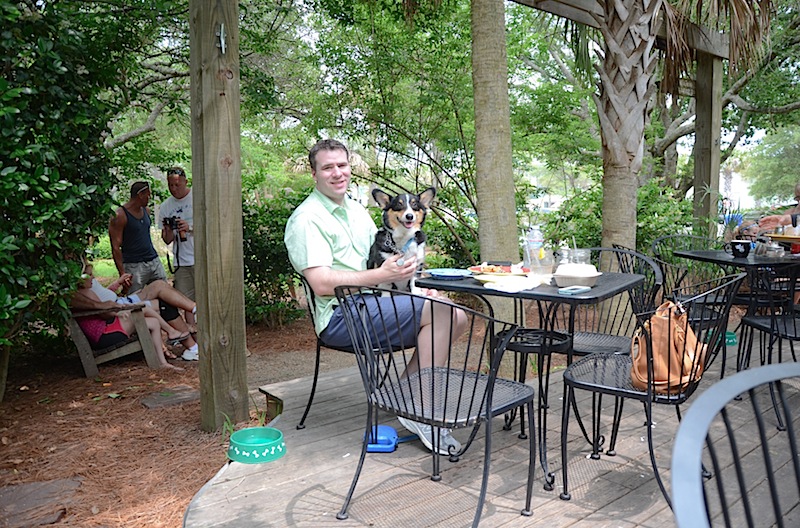 Lost Dog Cafe Folly Beach, SC The Chic Life