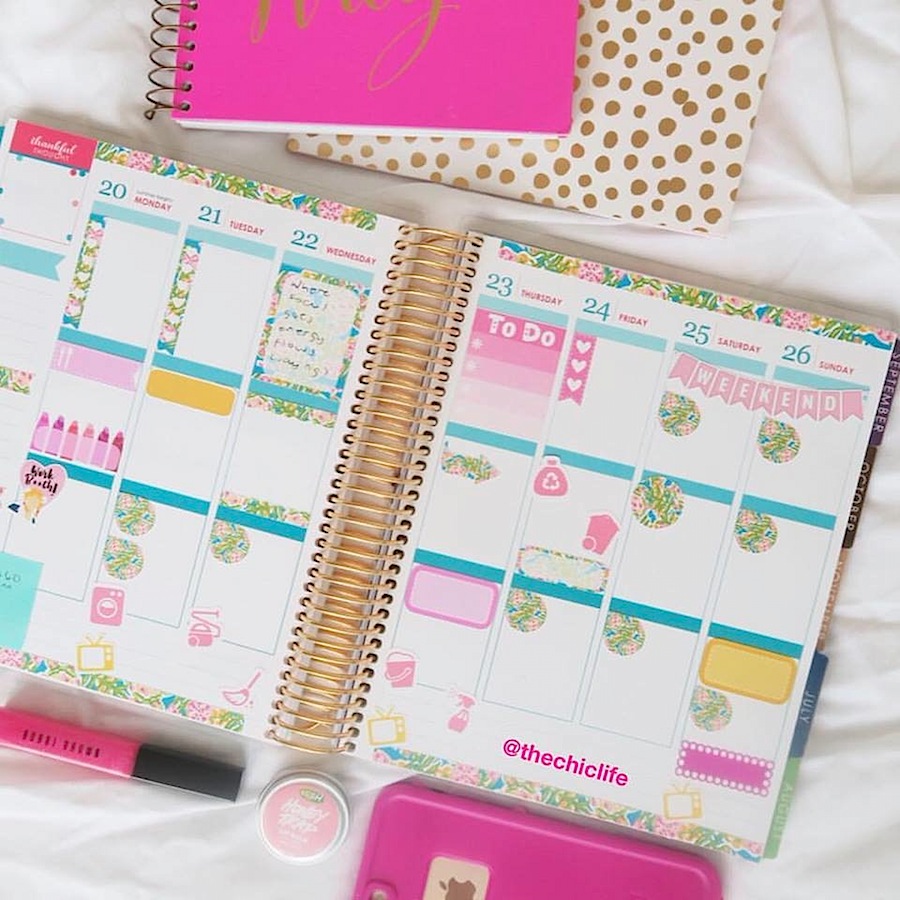 Planner Decorations June 2016 (Erin Condren Vertical) The Chic Life
