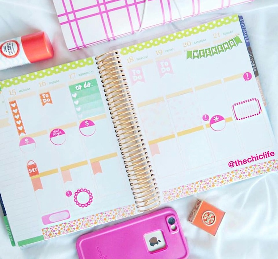 Planner Decorations August 2016 (Erin Condren Vertical) The Chic Life