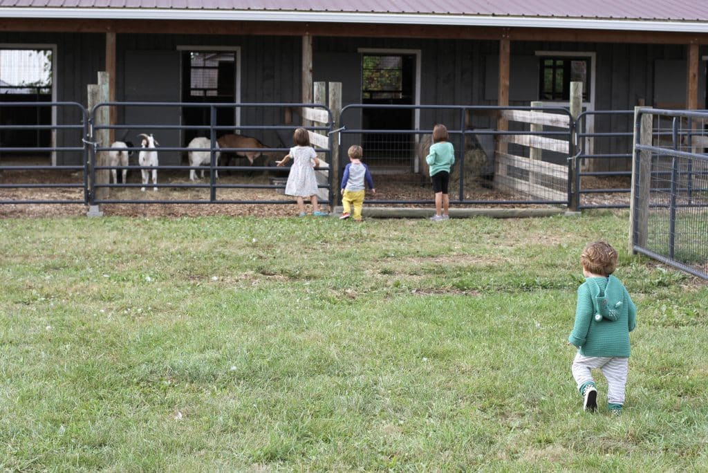 Family Friendly Places in New York Hudson Valley and Catskills The