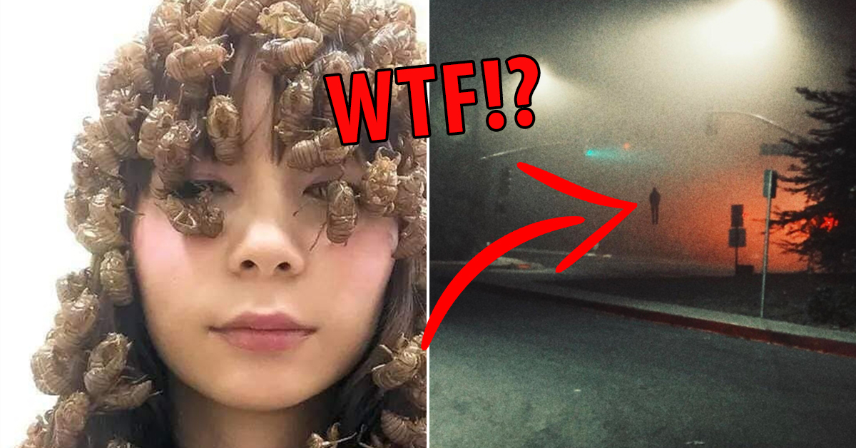 These cursed images should be viewed by no one (33 photos) Fun and