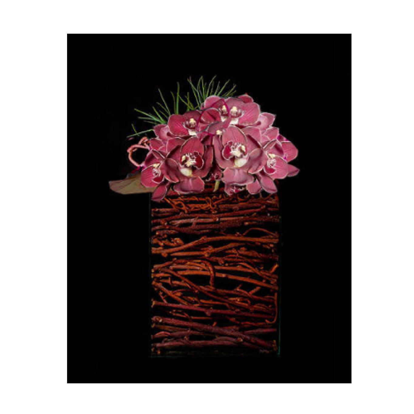 Rosedale Florist Toronto Yonge St Flowers Contemporary Floral Design