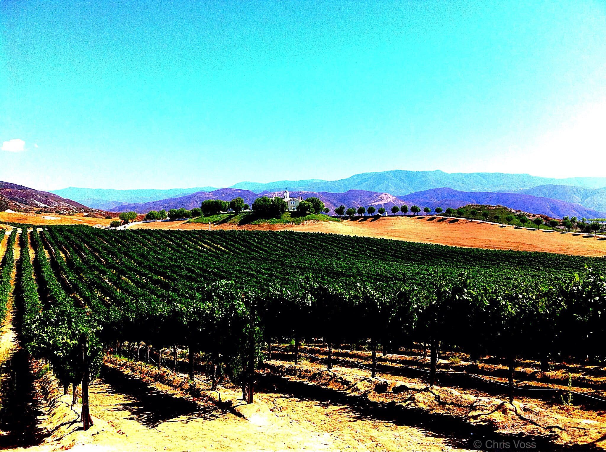 Temecula Wine Tour Southern California’s Napa