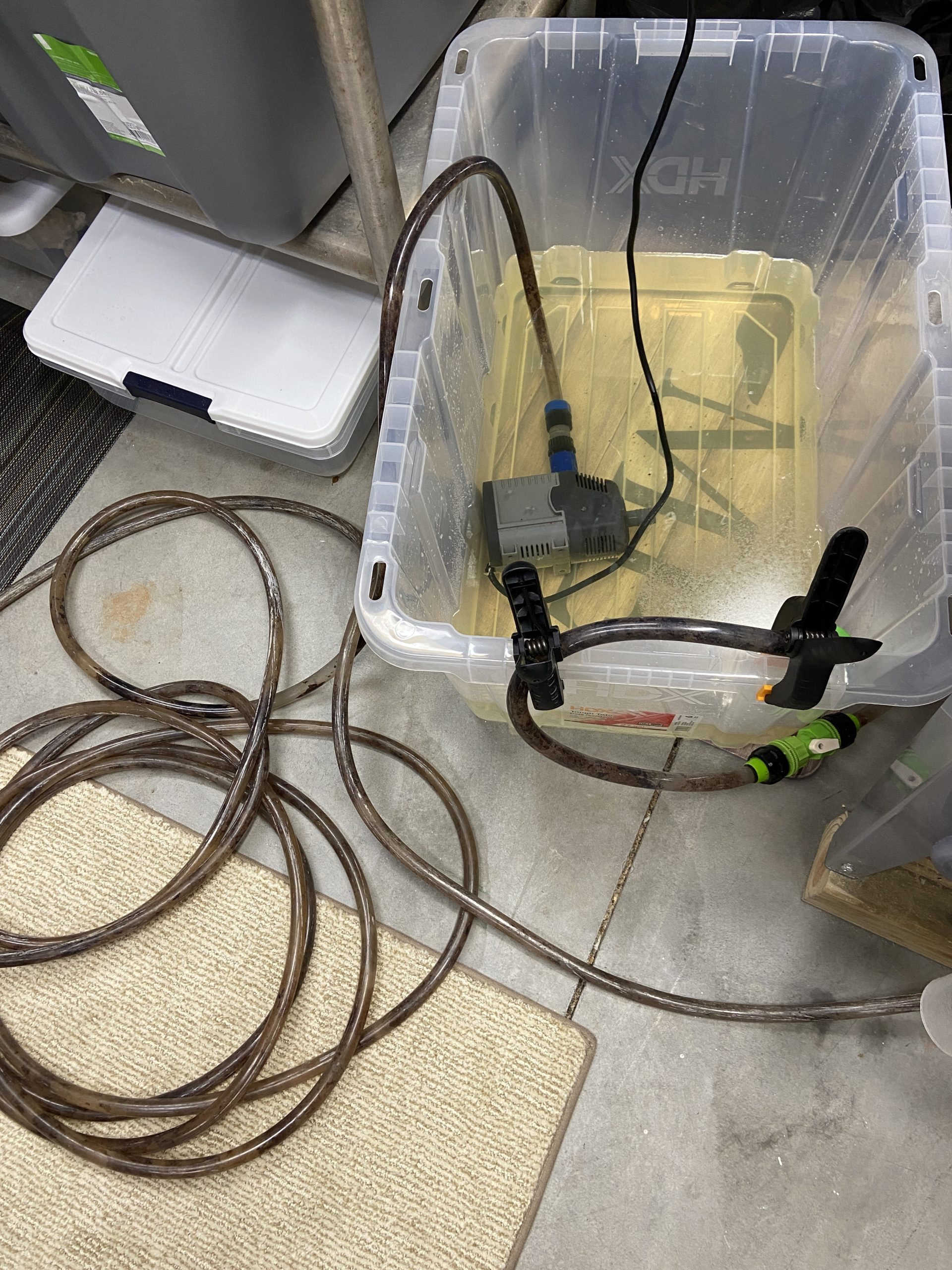 Vacuum hose black and nasty inside? The Cichlid Stage